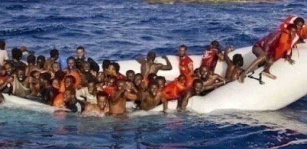 L'immigration clandestine: Les conseils de Elhadji Assane Gueye ...