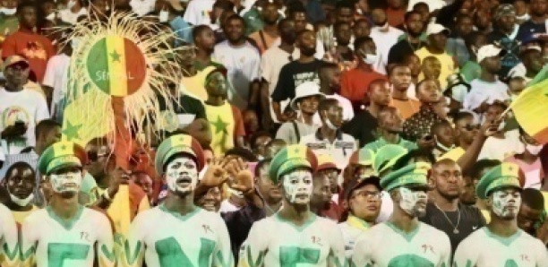 Direct Doha: Senegal vs Equateur suivez l'arrivée des supporters