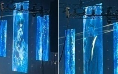 Méga-show à Paris : Admirez Le Duo Explosif Youssou Ndour-fally Ipupa