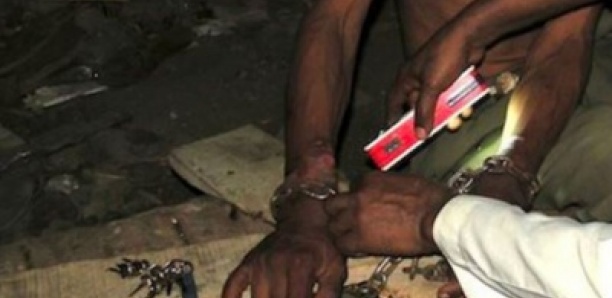 Un père enchaîne son fils malade mental pendant un an : L’acte de barbarie qui secoue Louly Sindiane