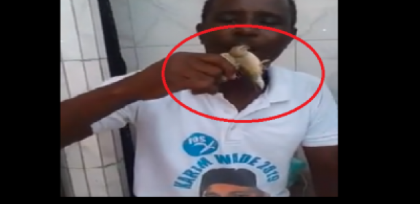 Des militants du PDS « maudissent » Macky avec des oiseaux
