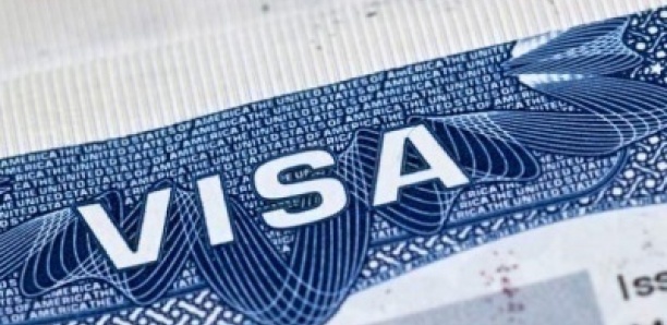 Scandale d’escroquerie au visa : Un opérateur économique conduit devant le procureur, confessions et disparitions énigmatiques